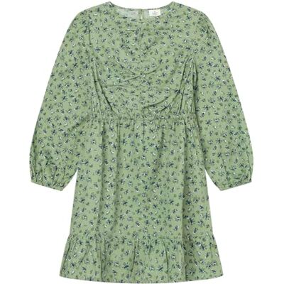 SPRINGFIELD Nueva Camisa De Estructura con Bordado De Árboles, Verde, 11-12 SPRINGFIELD Nueva Camisa De Estructura con Bordado De Árboles, Verde, 11-12