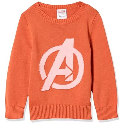 Amazon Essentials Disney Marvel Star Wars Princess Jerséis con cuello redondo Niña, Avengers Logo Girls, 11-12 años Amazon Essentials Disney Marvel Star Wars Princess Jerséis con cuello redondo Niña, Avengers Logo Girls, 11-12 años