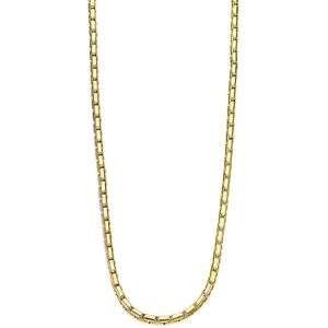 Lotus Cadena Acero Inoxidable Hombre de 316l Diseño Sofisticado y Resistente al Agua 550.00 mm Collar Hombre Dorado Regalo de Cumpleaños, Aniversario, Día del Padre Lotus Cadena Acero Inoxidable Hombre de 316l Diseño Sofisticado y Resistente al Agua 550.00 mm Collar Hombre Dorado Regalo de Cumpleaños, Aniversario, Día del Padre