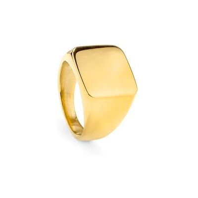 Radiant Colección Shine Anillo de Sello Ancho Plateado y Dorado para Hombre Talla de 22 a 26, Sofisticación y Distinción para un Estilo Único. Radiant Colección Shine Anillo de Sello Ancho Plateado y Dorado para Hombre Talla de 22 a 26, Sofisticación y Distinción para un Estilo Único.