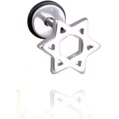 BlackAmazement Fake Plug Pendientes Barbell 316L Acero Inoxidable Hexagrama Estrella de David Estrella de David 8 mm Plata Oro Negro Mujer Hombre BlackAmazement Fake Plug Pendientes Barbell 316L Acero Inoxidable Hexagrama Estrella de David Estrella de David 8 mm Plata Oro Negro Mujer Hombre