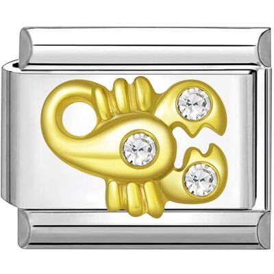 Quiges Módulo de encanto de estilo italiano de 9 mm, acero inoxidable, circonio, horóscopo, escorpión para pulseras italianas, Zirconia cúbica Quiges Módulo de encanto de estilo italiano de 9 mm, acero inoxidable, circonio, horóscopo, escorpión para pulseras italianas, Zirconia cúbica