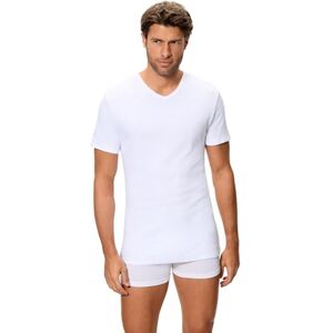 Abanderado Camiseta térmica Manga Corta Cuello Pico Algodón de Invierno Hombre x1 Abanderado Camiseta térmica Manga Corta Cuello Pico Algodón de Invierno Hombre x1