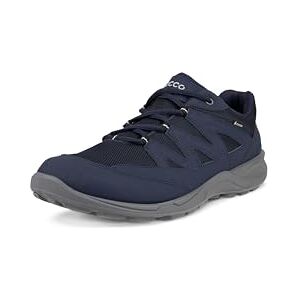 ECCO Terracruise Lt M Low GTX, Zapatillas Hombre, Cielo Noche Cielo No, 42 EU ECCO Terracruise Lt M Low GTX, Zapatillas Hombre, Cielo Noche Cielo No, 42 EU