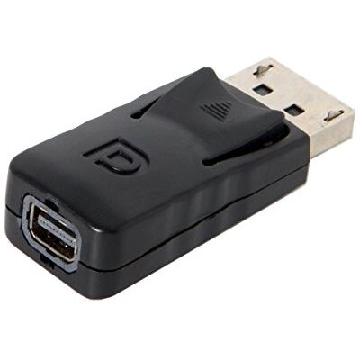 chenyang Adaptador DisplayPort a Mini DP DisplayPort macho a hembra para Apple Display chenyang Adaptador DisplayPort a Mini DP DisplayPort macho a hembra para Apple Display