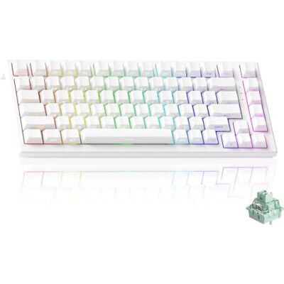 Akko TAC75 HE Teclado 75% Hall Effect Switch Magnético RT0.005mm Teclas PBT Blancas, 8K Hz, Layout US, ARGB, Activación Ajustable, Snap Tap para FPS Gaming/Trabajo Akko TAC75 HE Teclado 75% Hall Effect Switch Magnético RT0.005mm Teclas PBT Blancas, 8K Hz, Layout US, ARGB, Activación Ajustable, Snap Tap para FPS Gaming/Trabajo