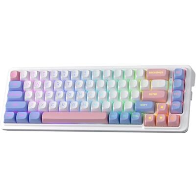Redragon K709 Pro Clavier de jeu RVB Sans Fil Gasket 65% Clavier mécanique échangeable à Chaud 68 Touches Avec Socle Free Mod, atténuation du Bruit 5 couches et Touches PBT rondes, US Layout Redragon K709 Pro Clavier de jeu RVB Sans Fil Gasket 65% Clavier mécanique échangeable à Chaud 68 Touches Avec Socle Free Mod, atténuation du Bruit 5 couches et Touches PBT rondes, US Layout