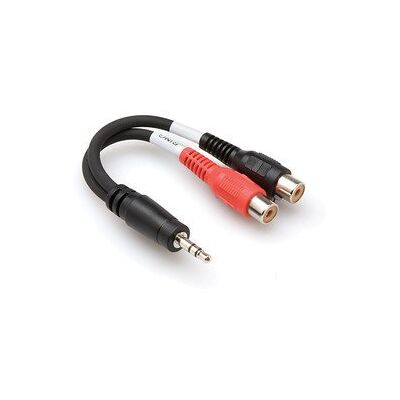 Hosa , Stereo Breakout, 3.5 mm TRS to Dual RCAF Hosa , Stereo Breakout, 3.5 mm TRS to Dual RCAF