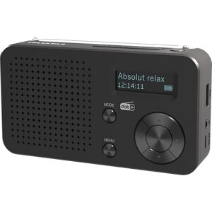 Telestar Top 100 – Radio portátil Dab+/FM (batería Intercambiable, hasta 15 h de reproducción, Corto Tiempo de Carga, Bluetooth Audio-Streaming, Reproductor USB) – Negro Telestar Top 100 – Radio portátil Dab+/FM (batería Intercambiable, hasta 15 h de reproducción, Corto Tiempo de Carga, Bluetooth Audio-Streaming, Reproductor USB) – Negro