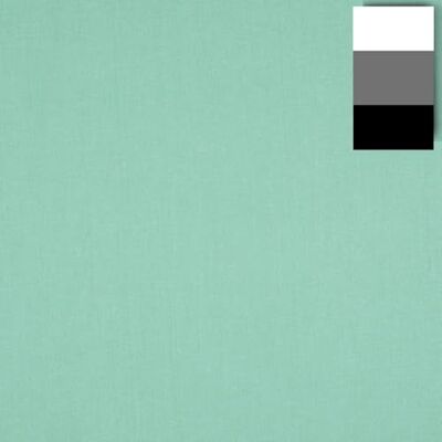 Walimex Cloth Background Tela para Fondo fotográfico, 2.85 x 6 m, Mint Green Walimex Cloth Background Tela para Fondo fotográfico, 2.85 x 6 m, Mint Green