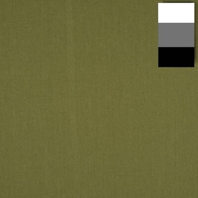 Walimex Cloth Background Tela para Fondo fotográfico, 2.85 x 6 m, Cactus Walimex Cloth Background Tela para Fondo fotográfico, 2.85 x 6 m, Cactus
