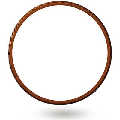 Ricoh Anillo de Objetivo GN-2 (BZ) Bronce Modelos compatibles: GR IIIx Bronce Anillo de Repuesto para Proteger el Adaptador Bayoneta 30494 Ricoh Anillo de Objetivo GN-2 (BZ) Bronce Modelos compatibles: GR IIIx Bronce Anillo de Repuesto para Proteger el Adaptador Bayoneta 30494