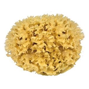 Croll & Denecke Esponja Natural - Accesorios de Baño Croll & Denecke Esponja Natural - Accesorios de Baño