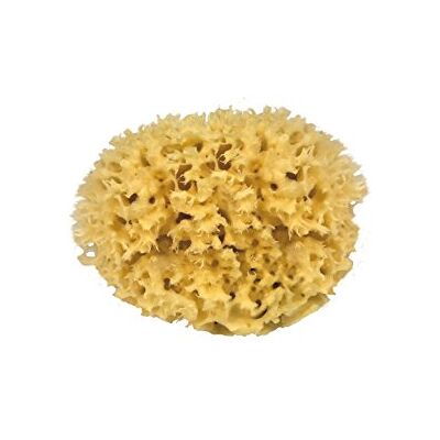 Croll & Denecke Esponja de mar natural - Esponja de baño Croll & Denecke Esponja de mar natural - Esponja de baño