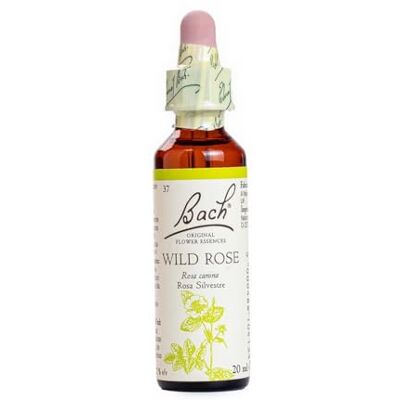 Bach Flor de Wild Rose, Complemento Alimenticio, con Extracto de Flores de Rosa Silvestre, Uva de Alc 27% Vol, Ayuda a Gestionar las Emociones Cuando Se Quiere Tener Más Motivación 20 ml Bach Flor de Wild Rose, Complemento Alimenticio, con Extracto de Flores de Rosa Silvestre, Uva de Alc 27% Vol, Ayuda a Gestionar las Emociones Cuando Se Quiere Tener Más Motivación 20 ml