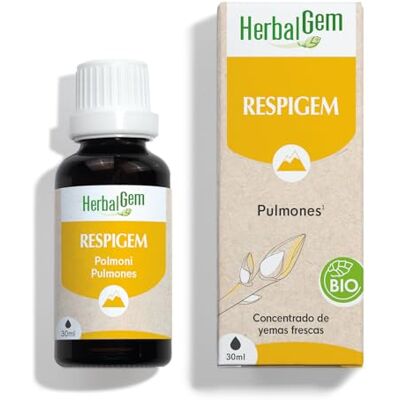 Herbalgem Apoyo respiratorio Extractos de plantas orgánicas - Concentrado Herbalgem Apoyo respiratorio Extractos de plantas orgánicas - Concentrado