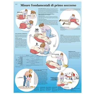 3B Scientific VR4770uu Gráfico anatómico "Operazioni Basilari di Rianimazione", versión en papel 3B Scientific VR4770uu Gráfico anatómico "Operazioni Basilari di Rianimazione", versión en papel