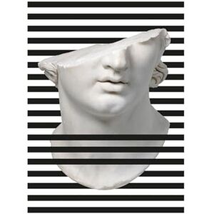 AlexandreHouse CUADRO 60X3X80 METACRILATO BUSTO PEQUEÑO AlexandreHouse CUADRO 60X3X80 METACRILATO BUSTO PEQUEÑO