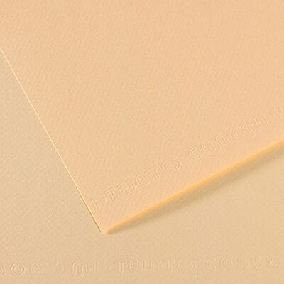 Canson C31032S007 Papel de color Beige (Marfil - 111) - 160 g/m², 21x29,11 cm - 25 hojas Canson C31032S007 Papel de color Beige (Marfil - 111) - 160 g/m², 21x29,11 cm - 25 hojas