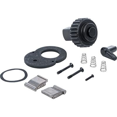BGS Juego de reparación para llave dinamométrica para 2834 BGS Juego de reparación para llave dinamométrica para 2834