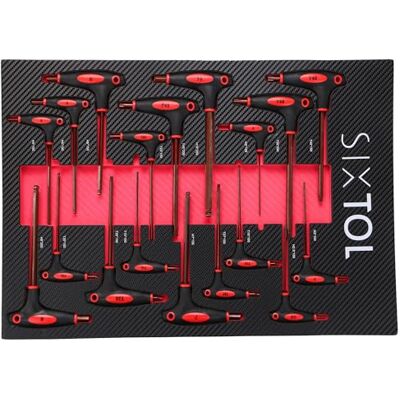 SIXTOL Mechanic Tool Tray 5 Módulo de Herramientas 18 Piezas Mango en T Llave Torx y Hex Inserto EVA para Carro de Taller SIXTOL Mechanic Tool Tray 5 Módulo de Herramientas 18 Piezas Mango en T Llave Torx y Hex Inserto EVA para Carro de Taller