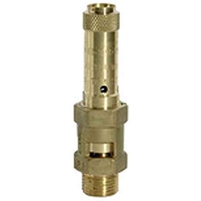 RIEGLER Válvula de seguridad de latón, conector G 1-1/2", presión de respuesta 0,7 bar. RIEGLER Válvula de seguridad de latón, conector G 1-1/2", presión de respuesta 0,7 bar.