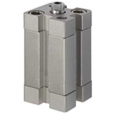 RIEGLER Serie ACE Cilindro compacto, doble acción, IG, imán, pistón de 125 mm, 100 mm, conector G de 1/4", M16 x 2.0, barras de pistón RIEGLER Serie ACE Cilindro compacto, doble acción, IG, imán, pistón de 125 mm, 100 mm, conector G de 1/4", M16 x 2.0, barras de pistón