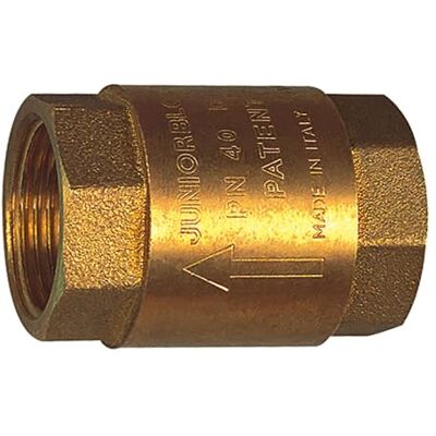 RIEGLER 103877-227.43 Válvula antirretorno (paso reducido, G 1, 20 mbar, 1 unidad) RIEGLER 103877-227.43 Válvula antirretorno (paso reducido, G 1, 20 mbar, 1 unidad)