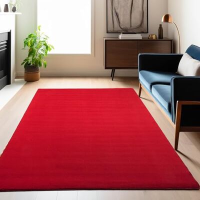 Carpetsale24 Alfombra Lavable de Pelo Corto 120x170 cm Rojo Moderna Carpetsale24 Alfombra Lavable de Pelo Corto 120x170 cm Rojo Moderna