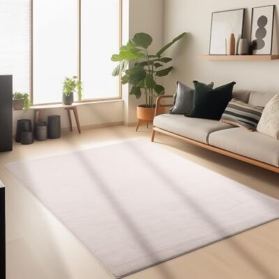 Carpetsale24 Alfombra Lavable de Pelo Corto 120x170 cm Beige Moderna Carpetsale24 Alfombra Lavable de Pelo Corto 120x170 cm Beige Moderna