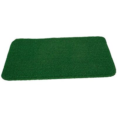 Verdemax Felpudo (67 x 39), Color Verde Verdemax Felpudo (67 x 39), Color Verde