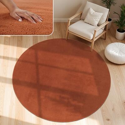Paco Home Alfombra Moderna y Suave para Salón a Pelo Corto Lavable Fluffy Uni Efecto Piel Intemporal Elegante Antideslizante Fácil de Limpiar, tamaño:Ø 120 cm Redon, Color:Cobre Paco Home Alfombra Moderna y Suave para Salón a Pelo Corto Lavable Fluffy Uni Efecto Piel Intemporal Elegante Antideslizante Fácil de Limpiar, tamaño:Ø 120 cm Redon, Color:Cobre