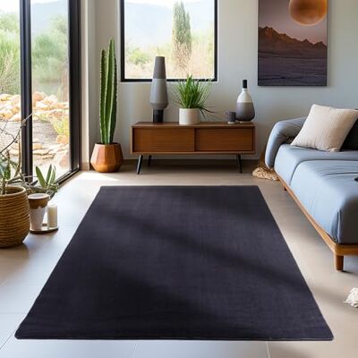 Carpetsale24 Alfombra Lavable de Pelo Corto 120x170 cm Negro Moderna Carpetsale24 Alfombra Lavable de Pelo Corto 120x170 cm Negro Moderna