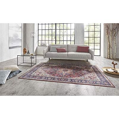 Nouristan Asmar Alfombra de salón, Toque Oriental detallado, patrón Floral de Pelo kurdo, Alfombra Plana para Comedor, salón, Dormitorio, Color Rojo Ciruela, 80 x 150 cm Nouristan Asmar Alfombra de salón, Toque Oriental detallado, patrón Floral de Pelo kurdo, Alfombra Plana para Comedor, salón, Dormitorio, Color Rojo Ciruela, 80 x 150 cm