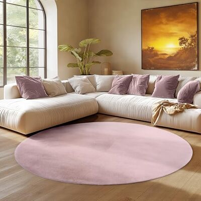 SIMPEX Alfombra Redonda Rosa 120 cm Alfombra de Pelo Corto Lavable, Redonda, Antideslizante y Suave, Diseño Monocromático Moderno para Sala, Dormitorio, Cocina y Habitación Infantil SIMPEX Alfombra Redonda Rosa 120 cm Alfombra de Pelo Corto Lavable, Redonda, Antideslizante y Suave, Diseño Monocromático Moderno para Sala, Dormitorio, Cocina y Habitación Infantil