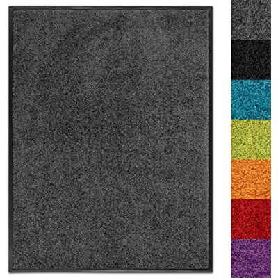 Floordirekt Alfombra de entrada Use&Wash Felpudo para la puerta alfombra de limpieza a fondo pisa-puerta alfombra de piso alfombra para pasillo entrada área de entrada antideslizante y lavable en muchos Floordirekt Alfombra de entrada Use&Wash Felpudo para la puerta alfombra de limpieza a fondo pisa-puerta alfombra de piso alfombra para pasillo entrada área de entrada antideslizante y lavable en muchos