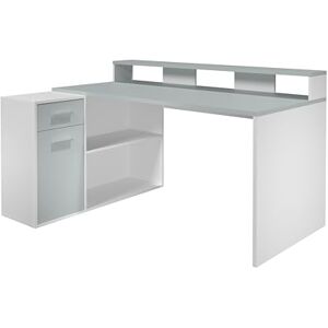trendteam smart living Gamer Muebles de Oficina Gris Claro Combinación de Escritorio con 1 Puerta, 1 cajón, 2 Compartimentos Abiertos y 2 estantes 160 x 92 x 115 cm (Ancho x Alto x trendteam smart living Gamer Muebles de Oficina Gris Claro Combinación de Escritorio con 1 Puerta, 1 cajón, 2 Compartimentos Abiertos y 2 estantes 160 x 92 x 115 cm (Ancho x Alto x