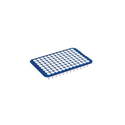 Eppendorf twin.tec Real-Time Disco de limpieza PCR (96 plazas, perfil bajo, sin dobladillo, capacidad de 150 µL, 20 unidades), color azul Eppendorf twin.tec Real-Time Disco de limpieza PCR (96 plazas, perfil bajo, sin dobladillo, capacidad de 150 µL, 20 unidades), color azul