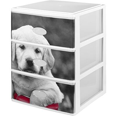 Great Plastic Lote de 3 Cajas en Color Negro 380 x 370 x 473 con diseños de Perros, Plastico, Neutro, 38x37x47,3 Great Plastic Lote de 3 Cajas en Color Negro 380 x 370 x 473 con diseños de Perros, Plastico, Neutro, 38x37x47,3