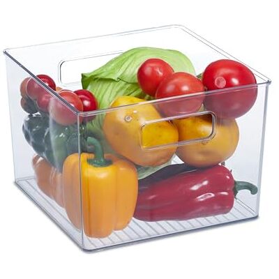 RELAXDAYS - Fridge Org - 15,5x21x21 cm - Transparente - Organizer RELAXDAYS - Fridge Org - 15,5x21x21 cm - Transparente - Organizer