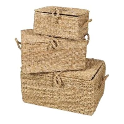Urban Living NATURAL Living " Set de 3 maletas de alga marina (15 cm, 20 cm, 25 cm) Urban Living NATURAL Living " Set de 3 maletas de alga marina (15 cm, 20 cm, 25 cm)