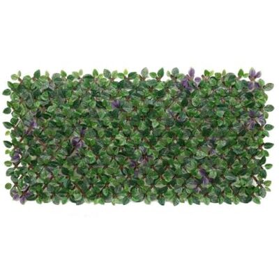 LOLAhome Celosía Extensible con seto Artificial Premium Hiedra de 2x1 m Realista y Natural, Alta Ocultación, Tratamiento UV, No inflamable, Transpirable para Jardín, Balcón, Terraza o Piscina LOLAhome Celosía Extensible con seto Artificial Premium Hiedra de 2x1 m Realista y Natural, Alta Ocultación, Tratamiento UV, No inflamable, Transpirable para Jardín, Balcón, Terraza o Piscina