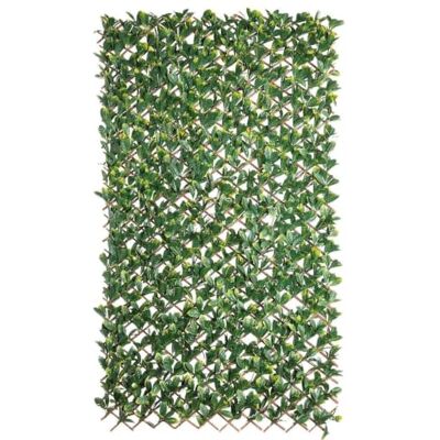 LOLAhome Celosía Extensible con seto Artificial Premium Hiedra de 2x1 m Realista y Natural, Alta Ocultación, Tratamiento UV, No inflamable, Transpirable para Jardín, Balcón, Terraza o Piscina LOLAhome Celosía Extensible con seto Artificial Premium Hiedra de 2x1 m Realista y Natural, Alta Ocultación, Tratamiento UV, No inflamable, Transpirable para Jardín, Balcón, Terraza o Piscina