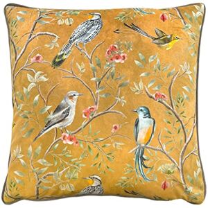furn. Wylder Orient Chinoiserie Birds Funda De Cojín – Terciopelo con Diseño Floral De Pájaros Chinoiserie (Gold – 43x43cm) furn. Wylder Orient Chinoiserie Birds Funda De Cojín – Terciopelo con Diseño Floral De Pájaros Chinoiserie (Gold – 43x43cm)