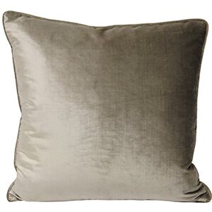 Paoletti Riva Luxe Velvet Cojín Mink Gris Terciopelo Suave Tacto del Tejido Reversible Hidden Cierre De Cremallera Lavable A Máquina 100% Poliéster 55 X 55 Cm (22" X 22" Pulgadas) Paoletti Riva Luxe Velvet Cojín Mink Gris Terciopelo Suave Tacto del Tejido Reversible Hidden Cierre De Cremallera Lavable A Máquina 100% Poliéster 55 X 55 Cm (22" X 22" Pulgadas)