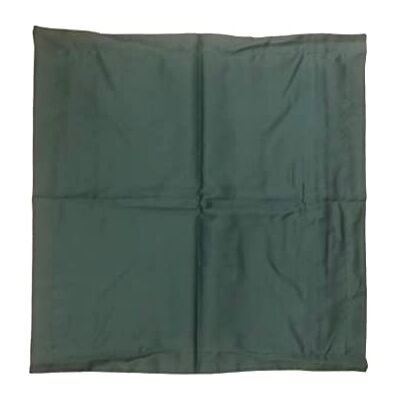 Bassetti Uni Funda de cojín (100% algodón, satén 1270, 40 x 40 cm) Bassetti Uni Funda de cojín (100% algodón, satén 1270, 40 x 40 cm)