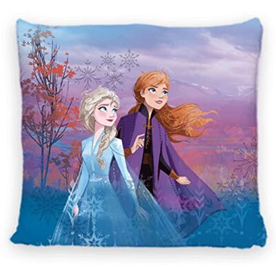 Disney Home Frozen – Cojín Decorativo con Relleno y Cremallera – 40 x 40 cm – Cojín con Relleno, Gran cojín Decorativo para sofá, salón, Dormitorio – Suave cojín Disney Home Frozen – Cojín Decorativo con Relleno y Cremallera – 40 x 40 cm – Cojín con Relleno, Gran cojín Decorativo para sofá, salón, Dormitorio – Suave cojín