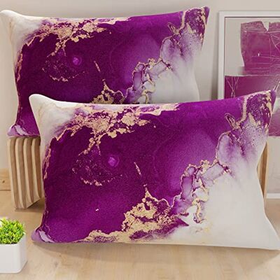 PETTI ARTIGIANI ITALIANI Par de Fundas de Almohada 50x80 cm, Pareja de Funda de Cojín Mármol Violeta, 100% Microfibra Hipoalergénica, Paquete de 2, Made in Italy PETTI ARTIGIANI ITALIANI Par de Fundas de Almohada 50x80 cm, Pareja de Funda de Cojín Mármol Violeta, 100% Microfibra Hipoalergénica, Paquete de 2, Made in Italy
