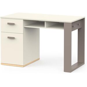 Demeyere Escritorio Blanco y Gris con cajón silencioso, Dos nichos y 2 Ganchos Laterales – Escritorio Infantil o Adulto Funcional 120 x 77 x 60 cm Demeyere Escritorio Blanco y Gris con cajón silencioso, Dos nichos y 2 Ganchos Laterales – Escritorio Infantil o Adulto Funcional 120 x 77 x 60 cm