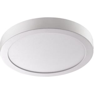 ALCO -Albert Plafón LED, redondo, aprox. 30 x 4 cm, plata, metal, 30 x 35 x 0 cm ALCO -Albert Plafón LED, redondo, aprox. 30 x 4 cm, plata, metal, 30 x 35 x 0 cm